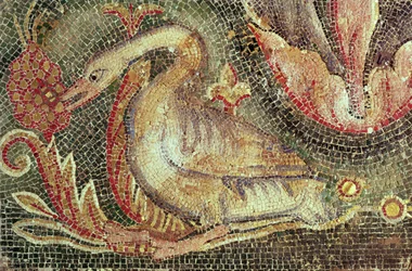 Swan, restored